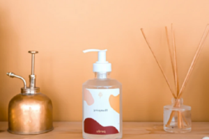 gel Hydroalcoolique Pando