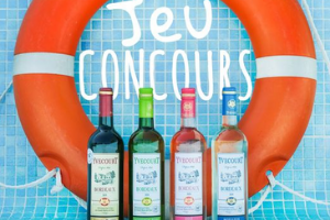 lot de 4 bouteilles de vin Yvecourt