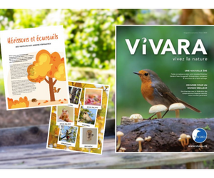 un catalogue Vivara à recevoir