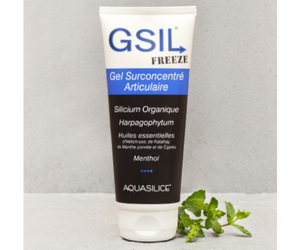 GSIL Freeze Gel Surconcentré Aquasilice Nutrivie