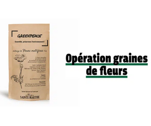 sachet de graines de fleurs mellifères offert