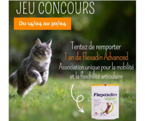 un an de Flexadin Advanced pour chat