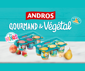 brassé aux fruits mixés Andros Gourmand & Végétal