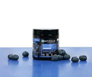 masque ultra violet déjaunisseur Centifolia