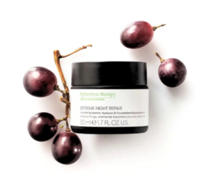 échantillon gratuit crème réparation extrême nuit Spilanthox Therapy