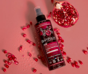 brume fixatrice de couleur de Centifolia