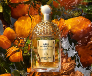 un coffret Aqua Allegoria Mandarine Basilic de Guerlain