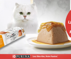 Mousseline Gourmet Revelations