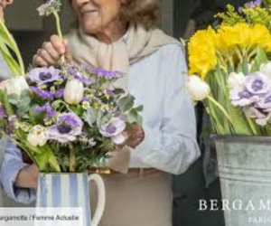 abonnement Délicat offert par Bergamotte