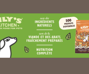 croquettes Countryside Casserole de Lily’s Kitchen