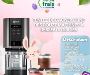 Marché Frais machine à desserts glacés Ninja