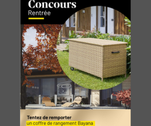 coffre de rangement Bayana