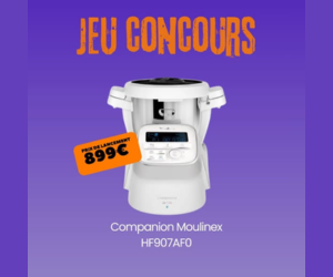 robot Companion Moulinex HF907AF0