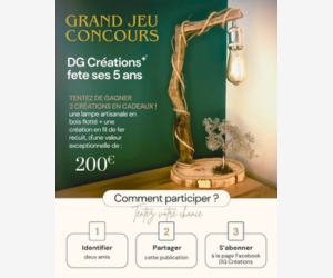 lampe unique en bois flotté