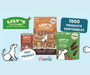 nourriture pour chiens Lily’s Kitchen